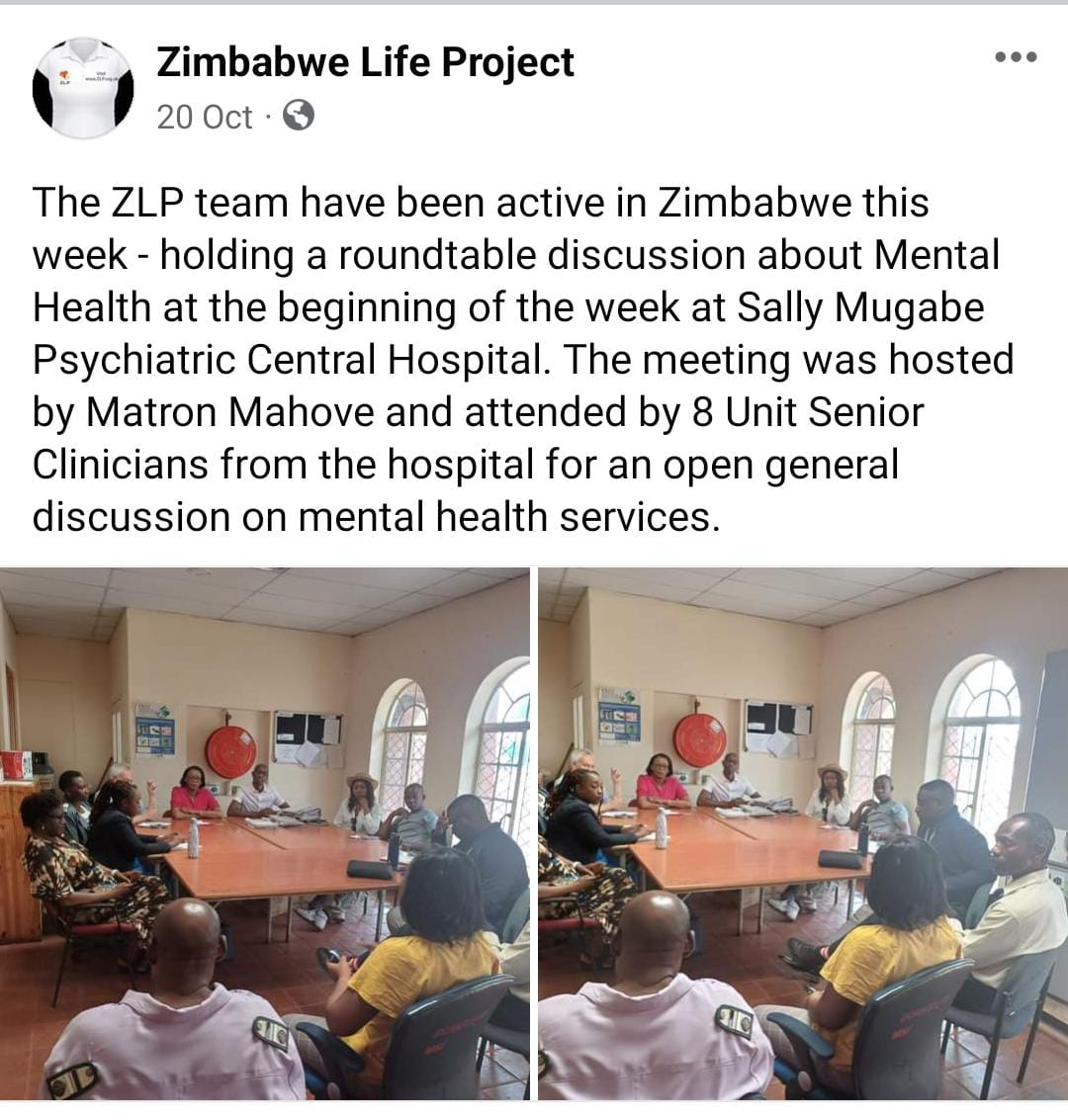 Sally Mugabe Hospital Roundtable
